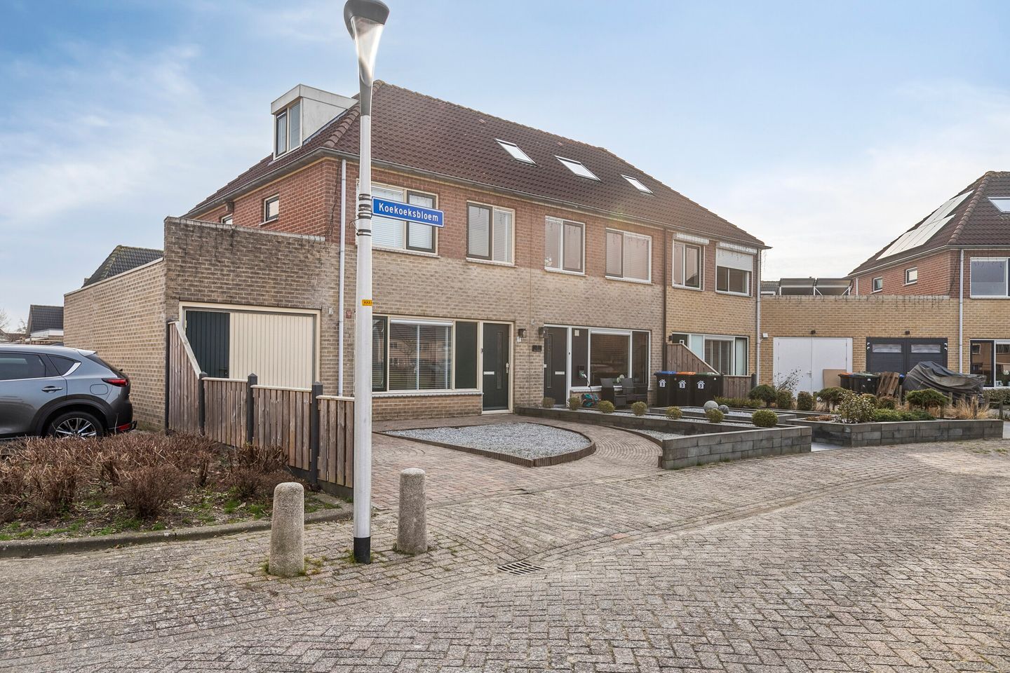 Foto 34 van Koekoeksbloem 1