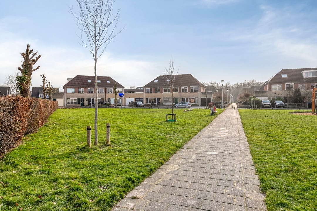 Foto 38 van Koekoeksbloem 1