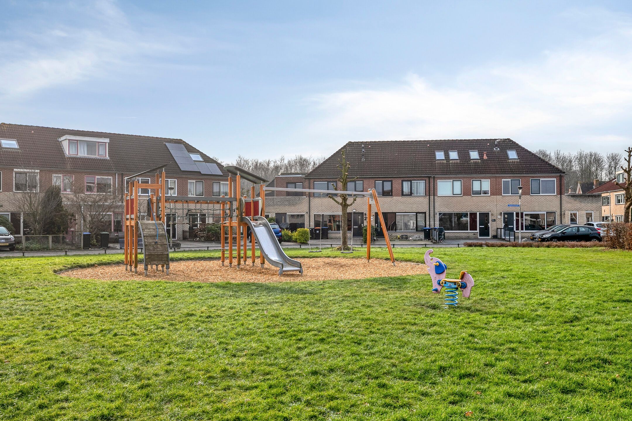 Foto 39 van Koekoeksbloem 1