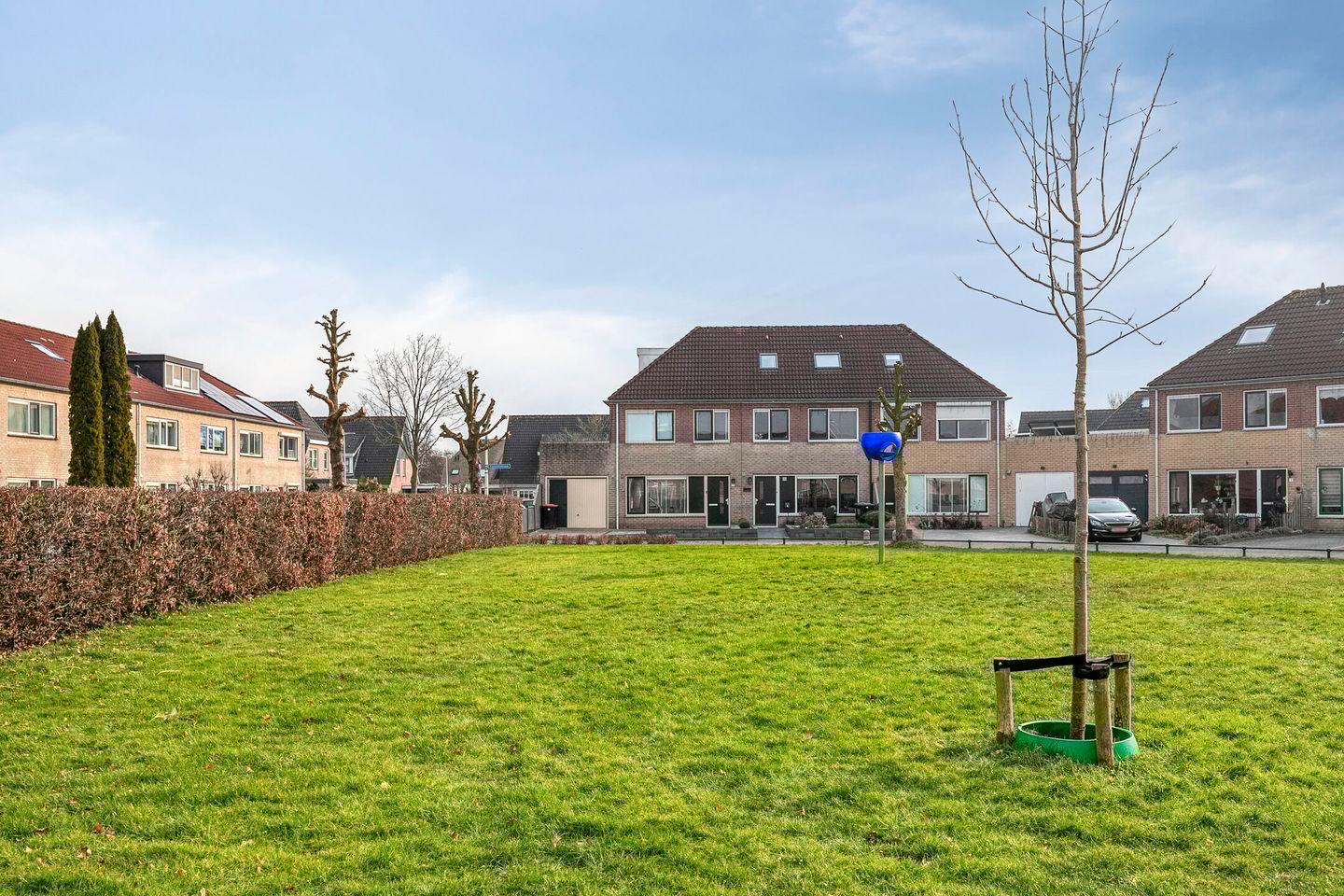 Foto 40 van Koekoeksbloem 1