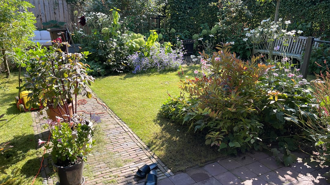 Photo 47 of Doornboshoeve 2