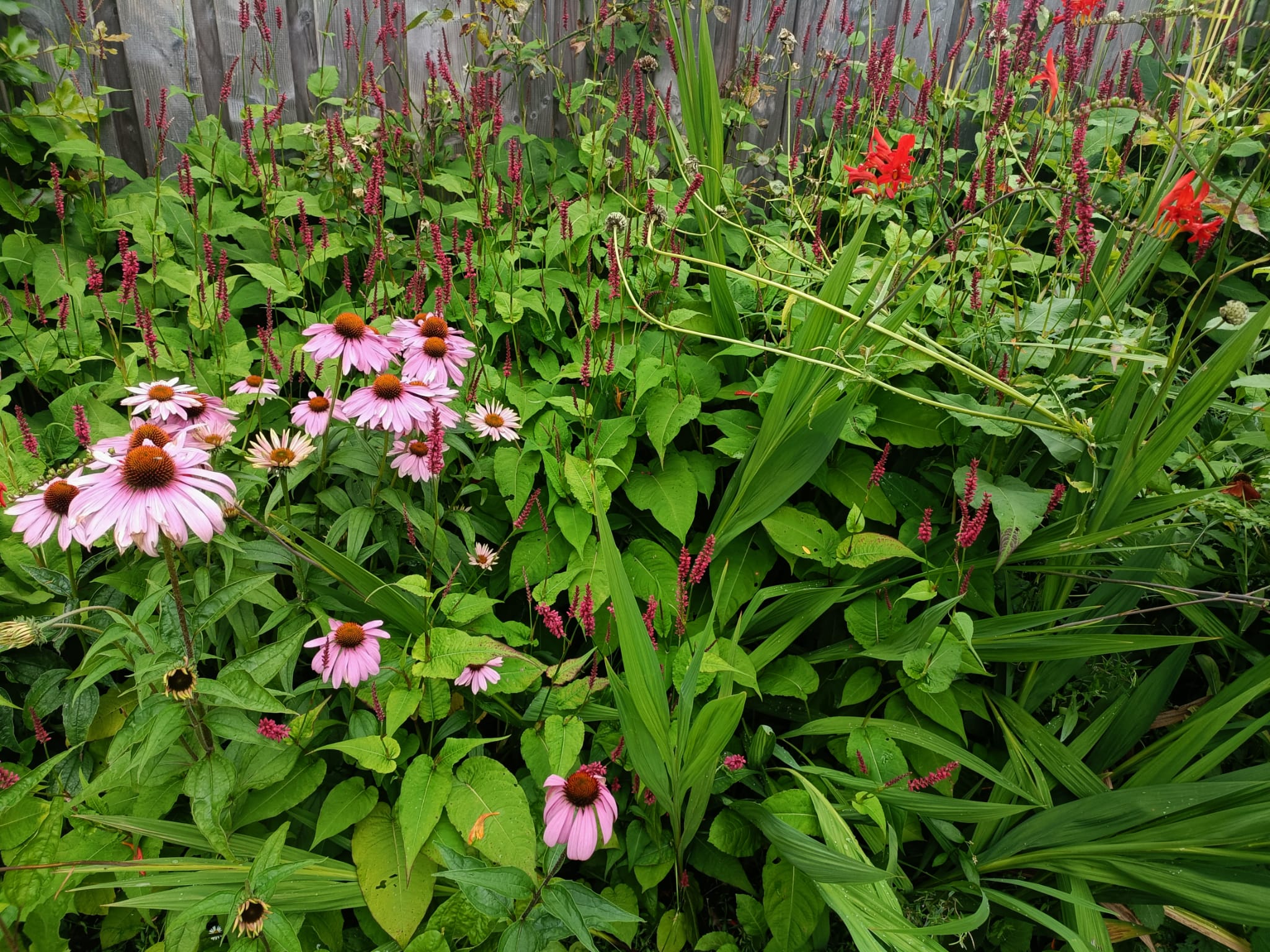 Photo 48 of Doornboshoeve 2