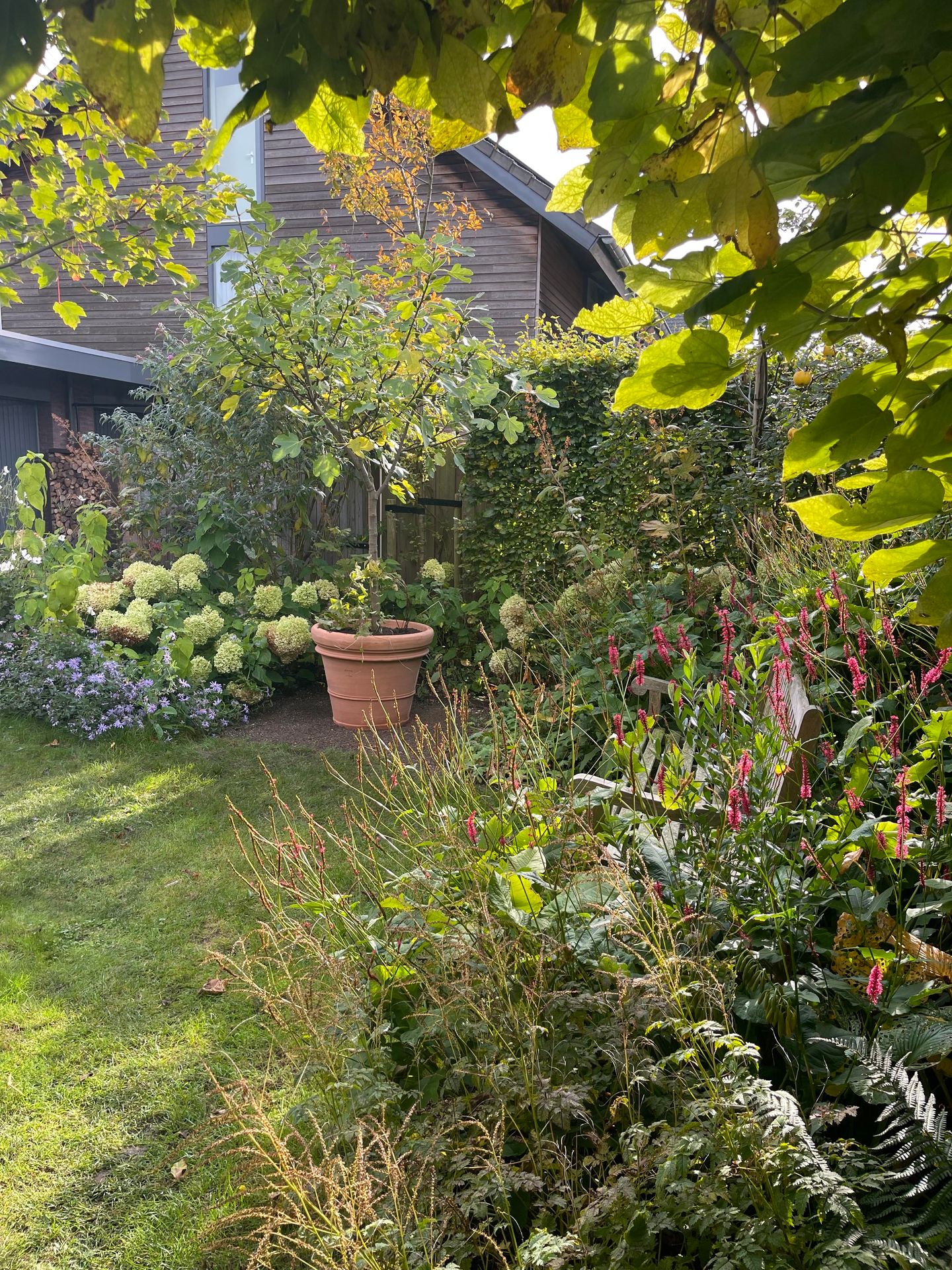 Photo 49 of Doornboshoeve 2