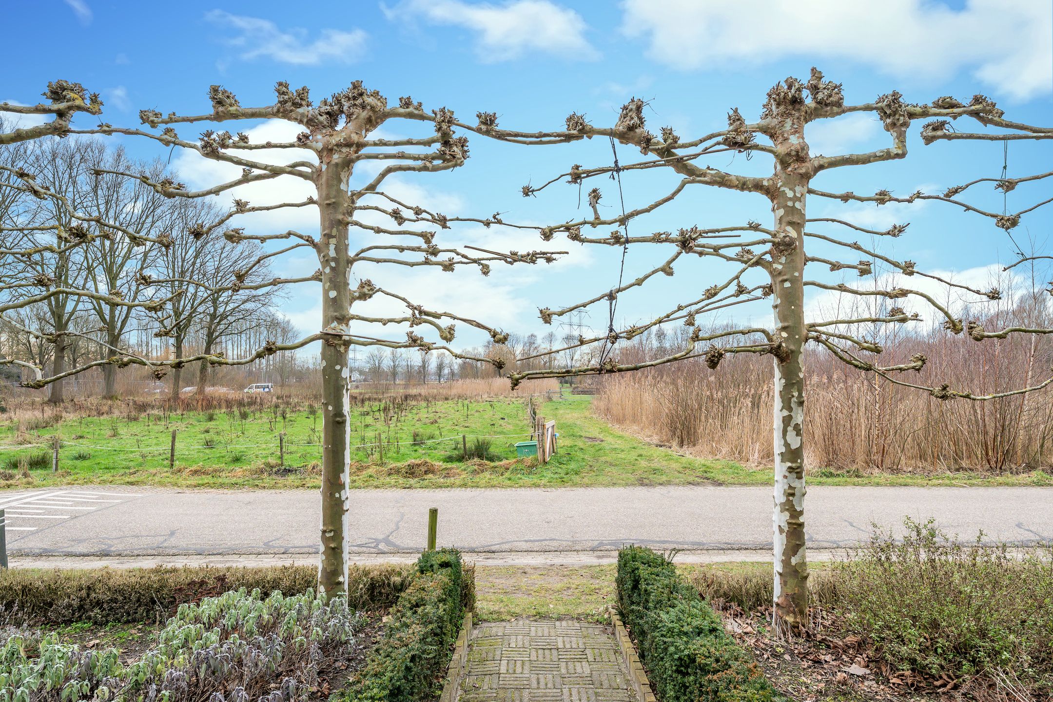 Foto 9 van Vorsterdijk 10