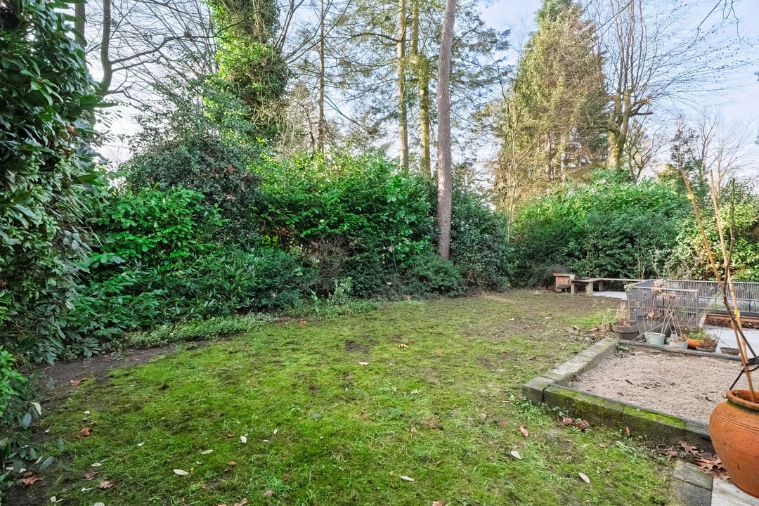 Foto 43 van Hamsterlaan 7