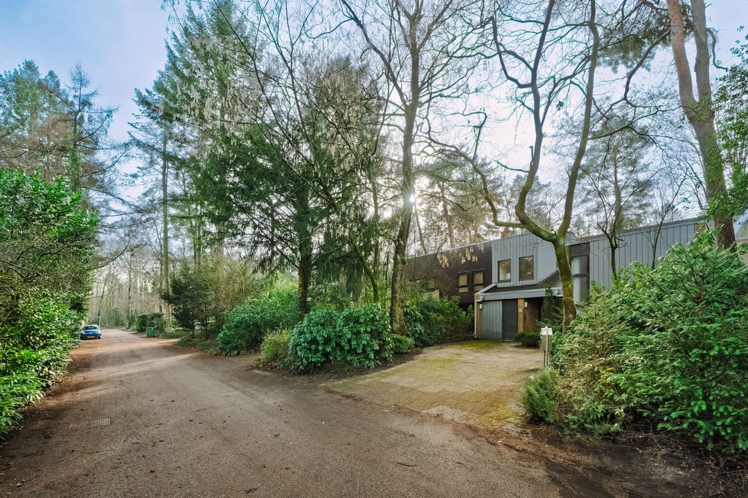 Foto 53 van Hamsterlaan 7