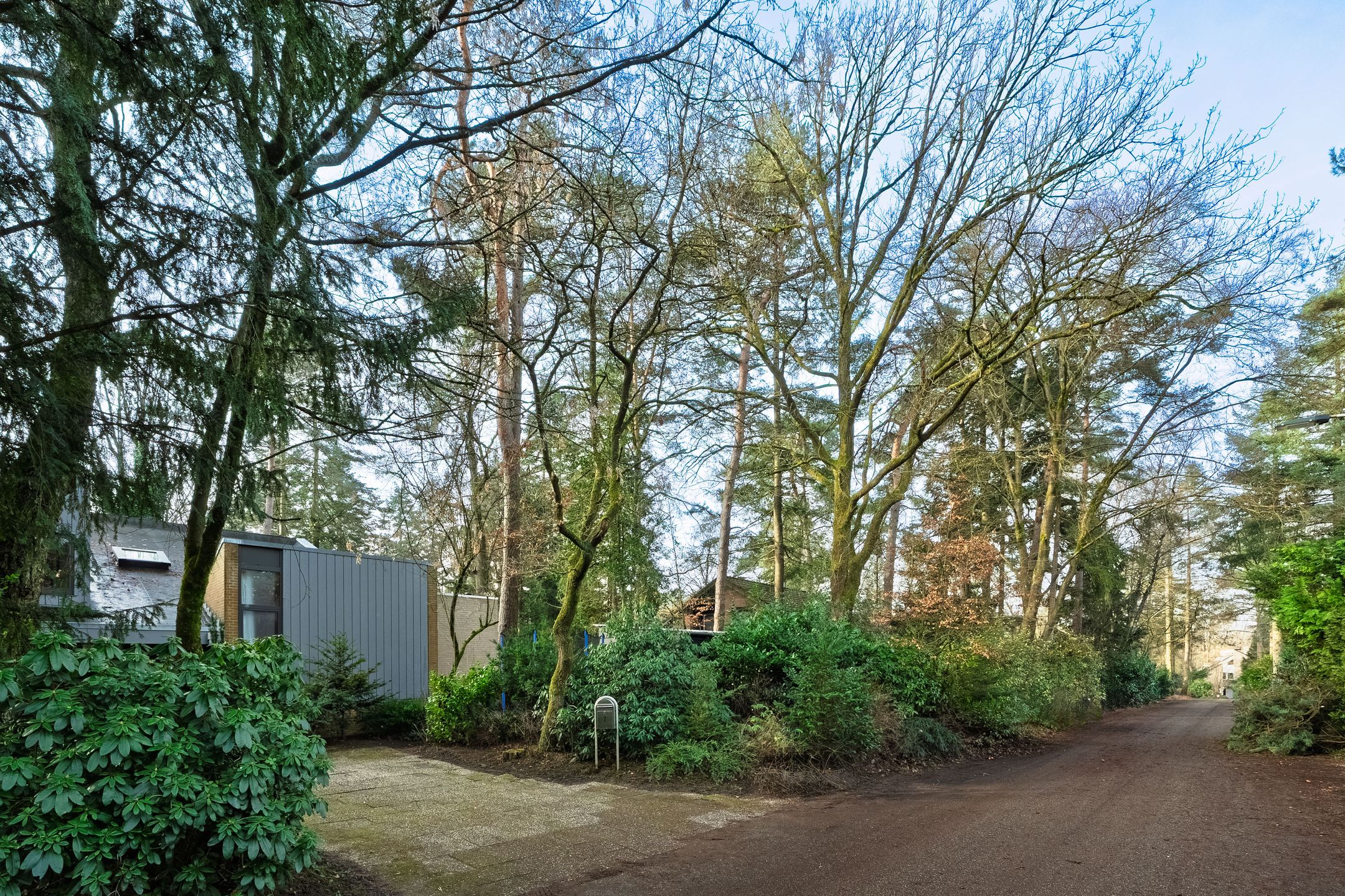 Foto 54 van Hamsterlaan 7