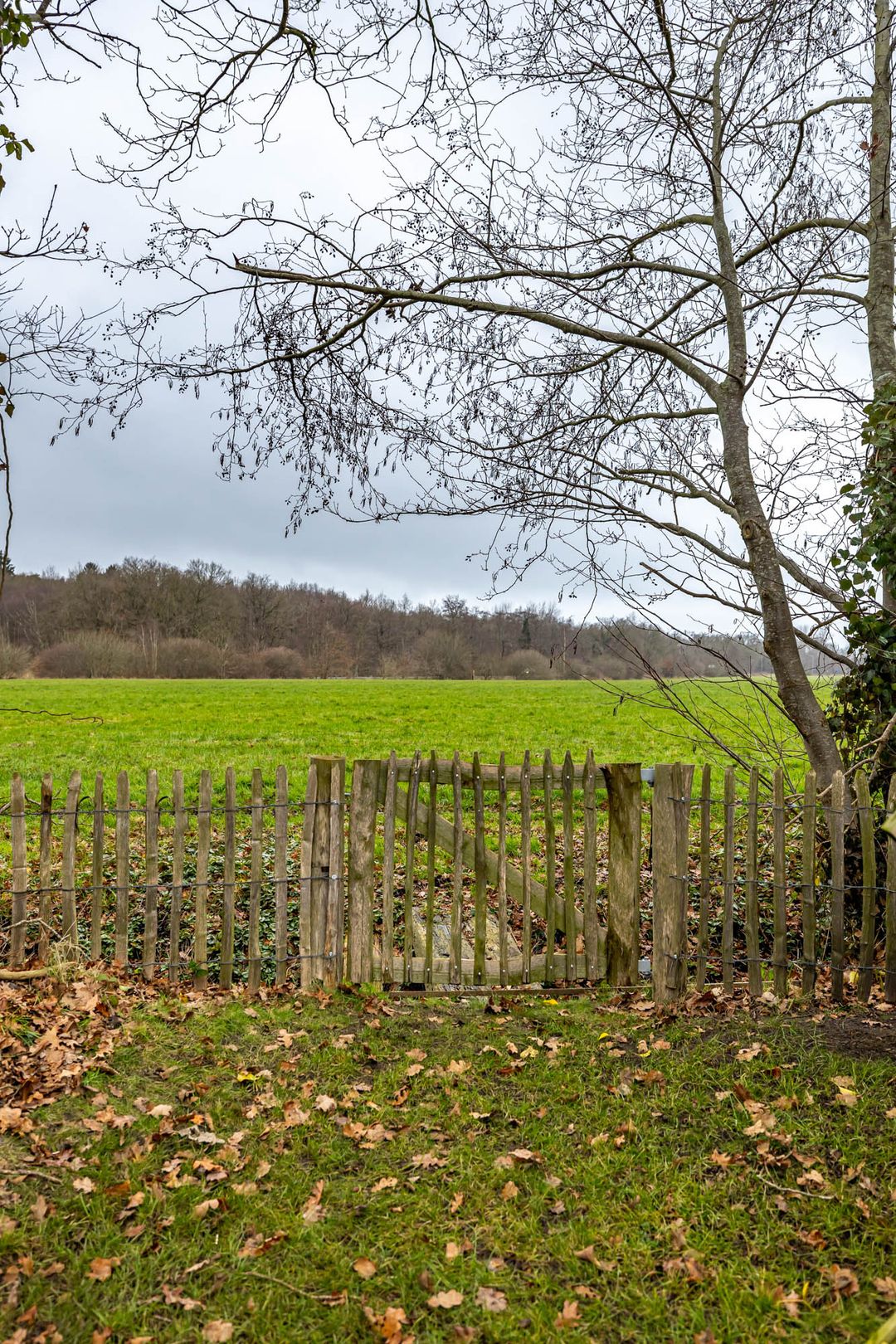 Foto 22 van Vredelaan 41