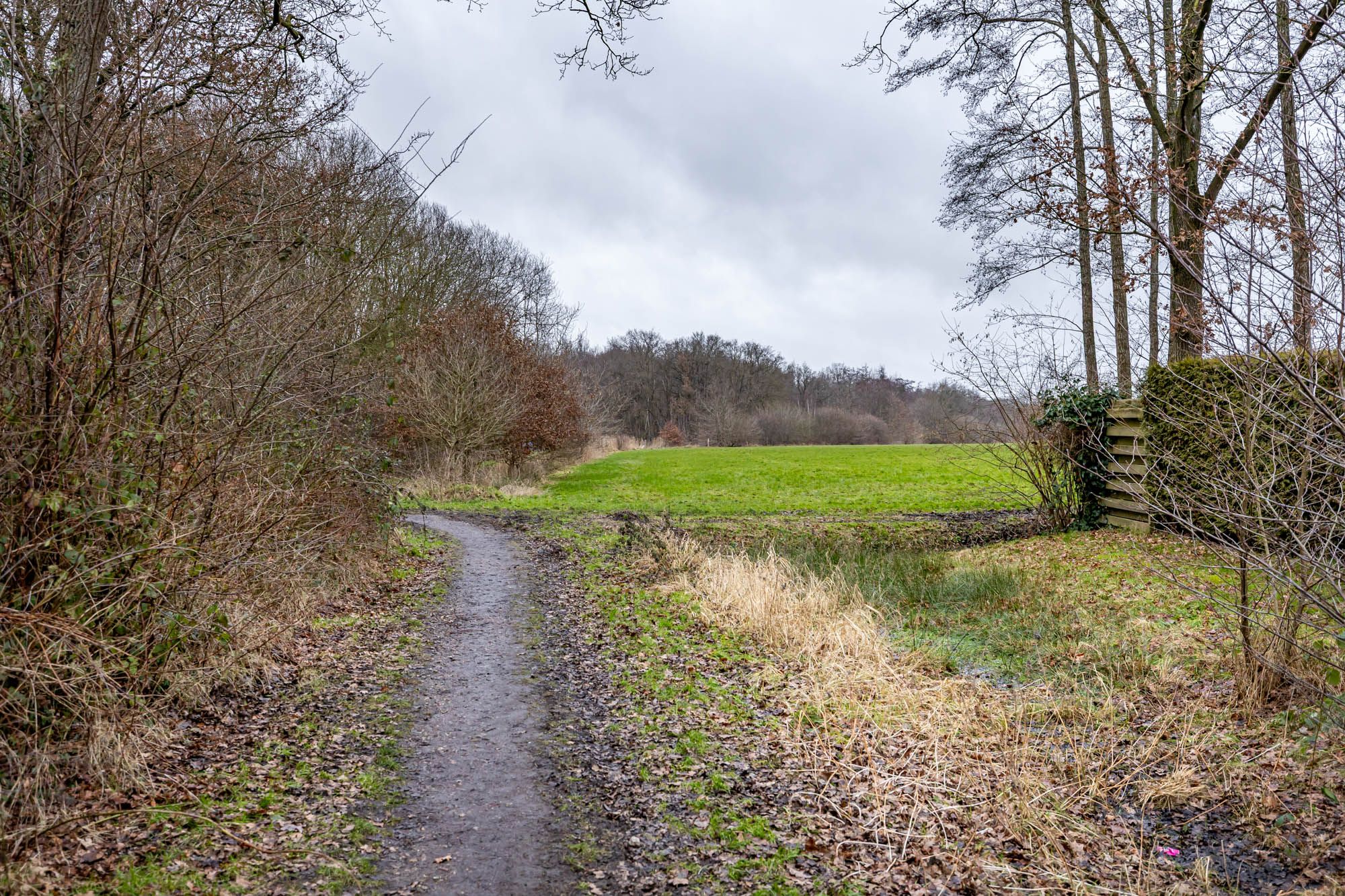 Foto 24 van Vredelaan 41