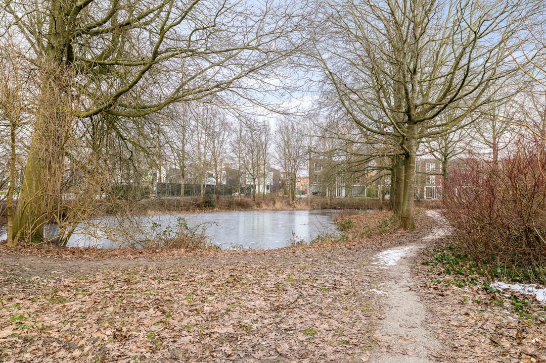 Foto 31 van Bordewijklaan 71