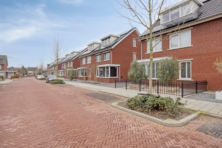 Foto 5 van De Dorsvlegel 17