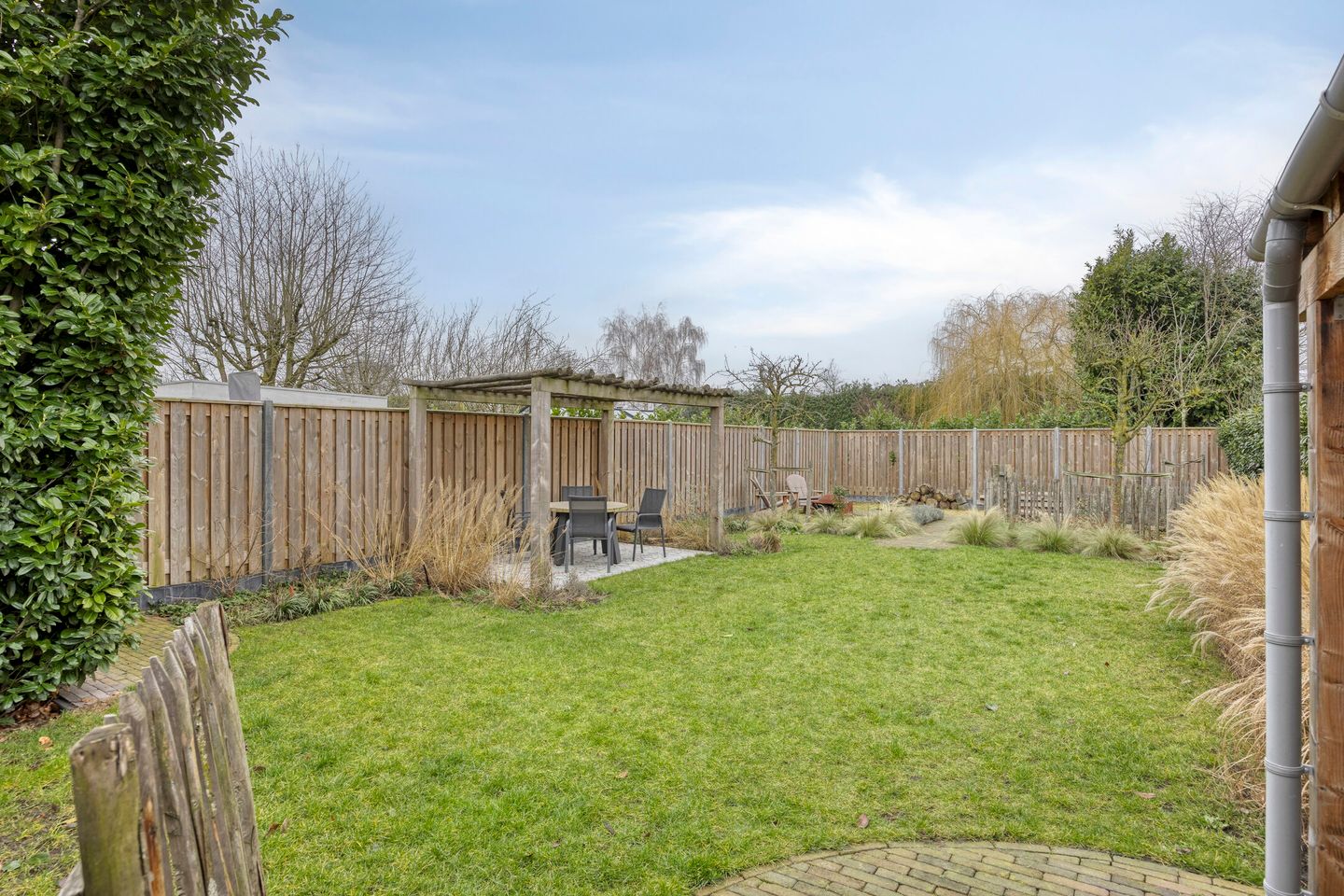 Foto 55 van De Dorsvlegel 17