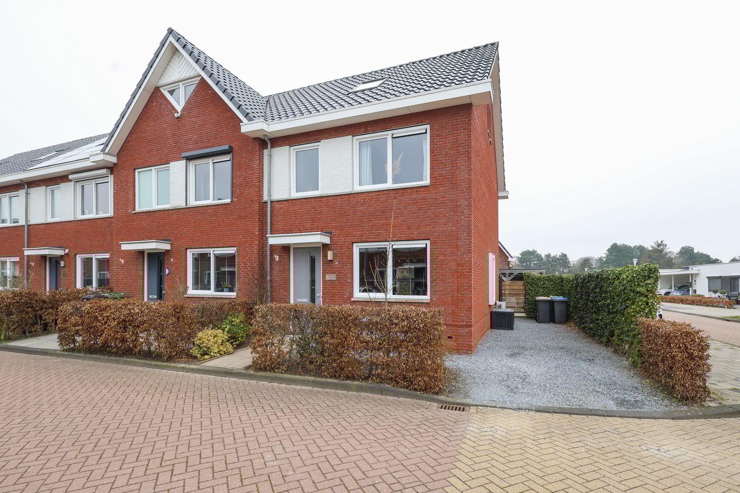 Foto 1 van Berkenblad 19