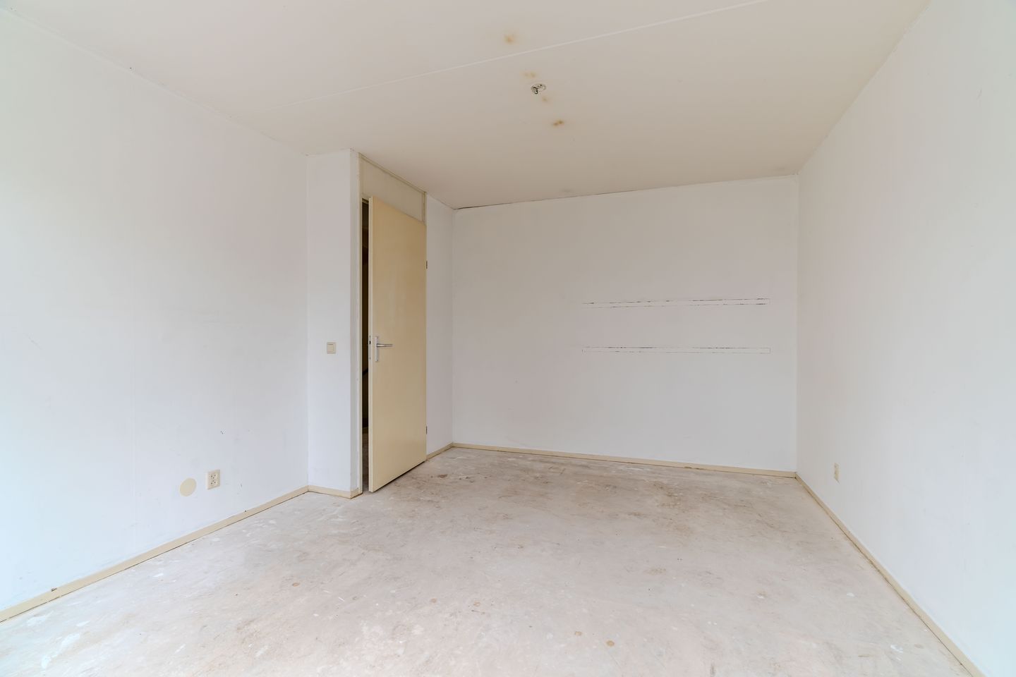 Foto 19 van Spotvogellaan 28