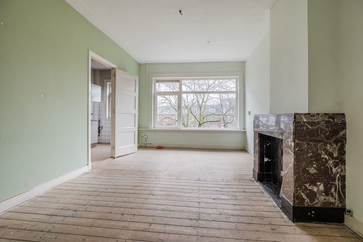 Foto 2 van Borgesiusstraat 101-A02