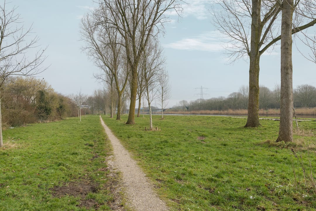 Photo 58 of Vlinderplantsoen 3