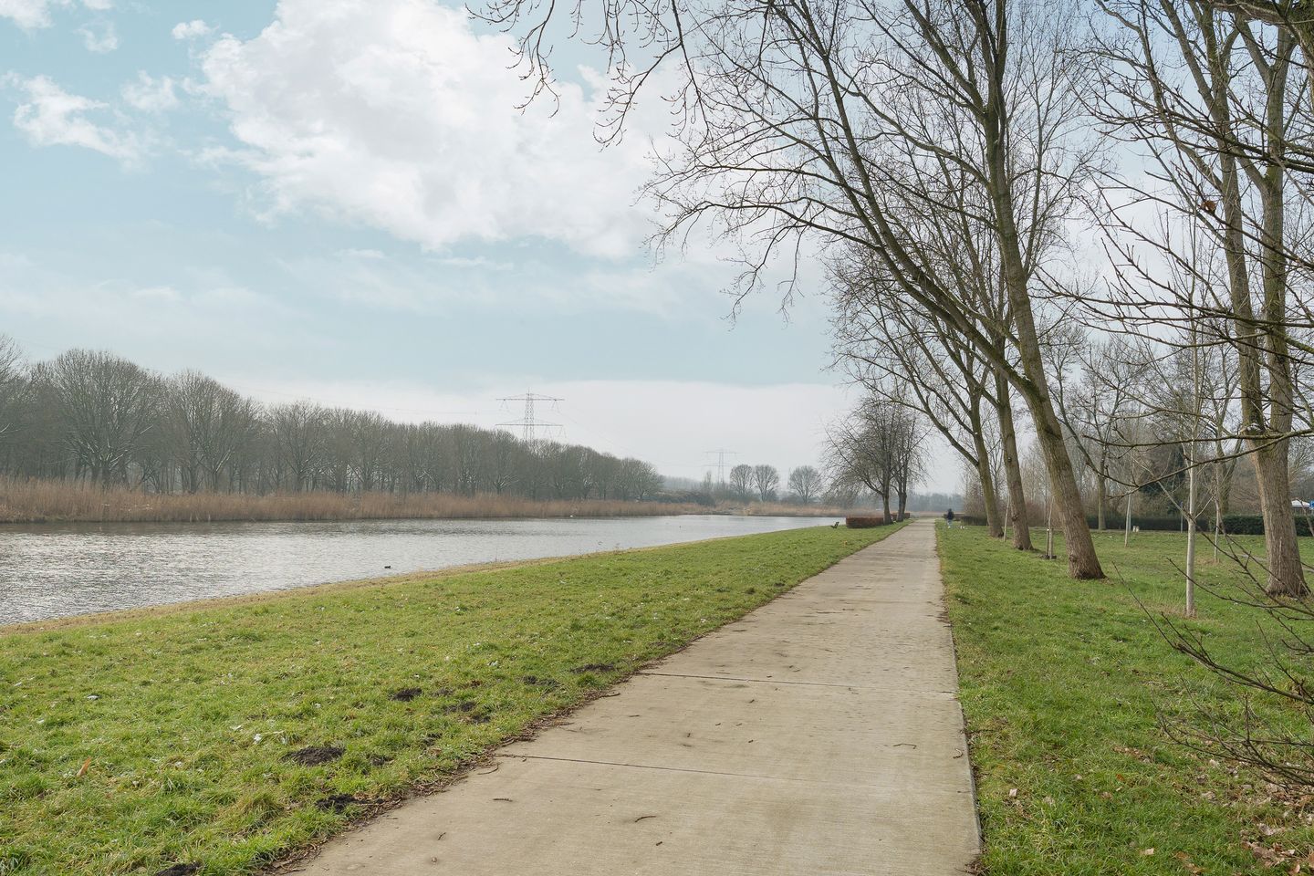 Photo 59 of Vlinderplantsoen 3