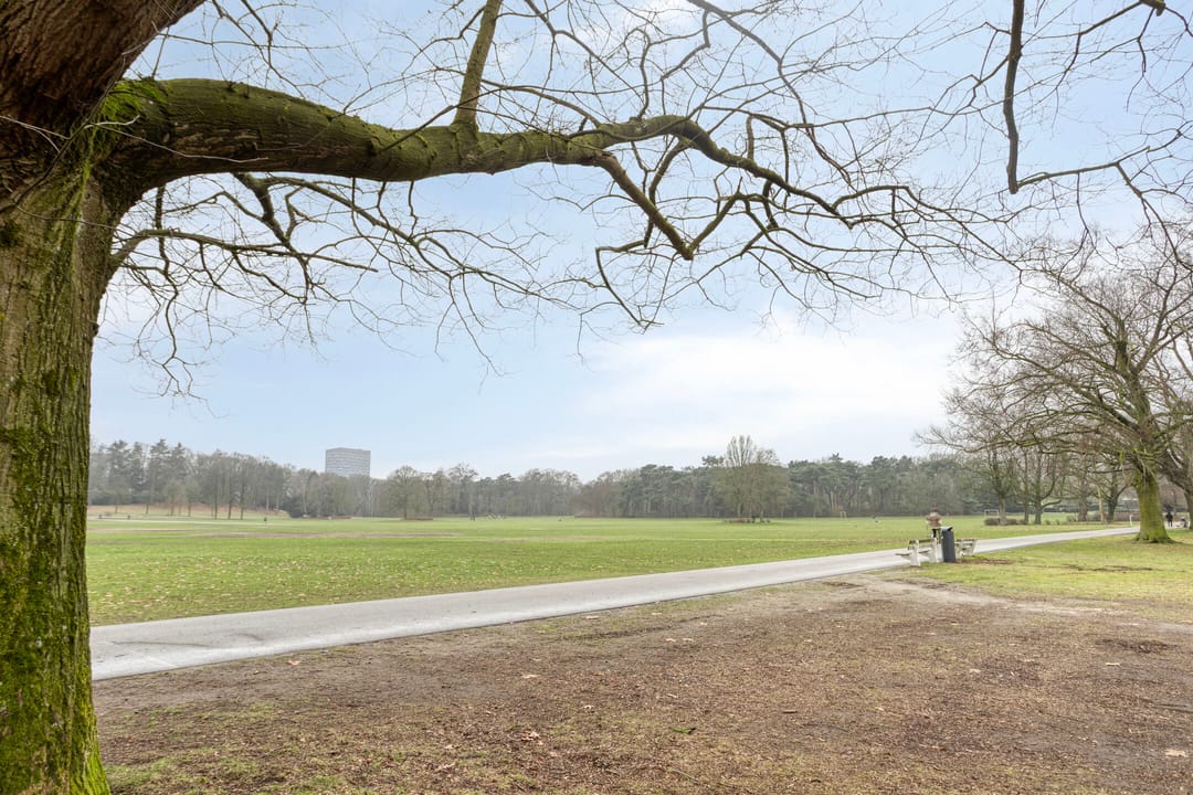 Foto 41 van Hazenkampseweg 94