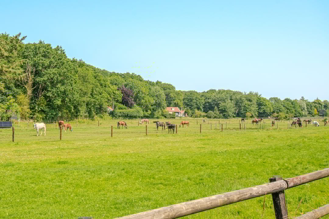 Photo 31 of Duinweg 66