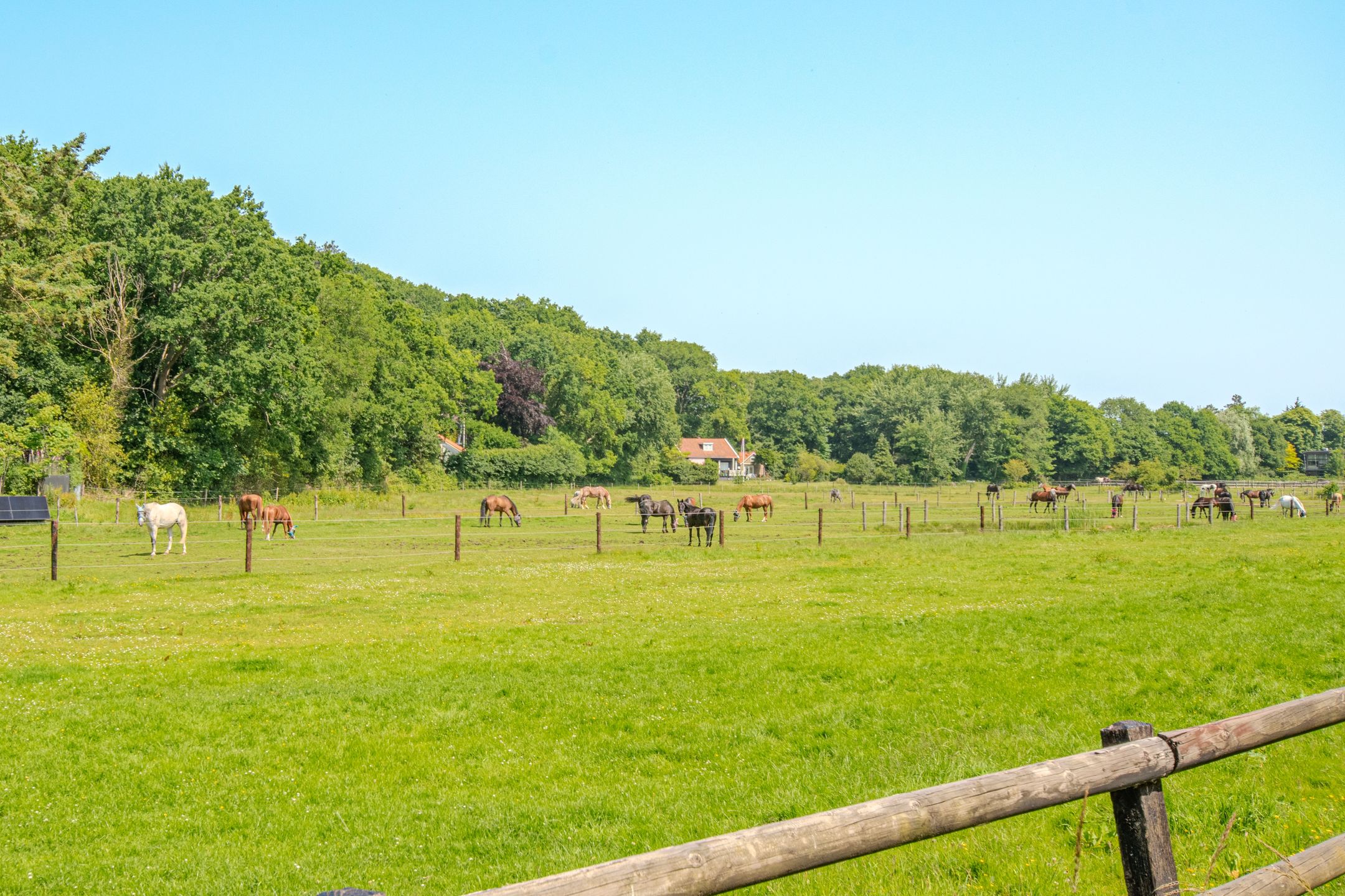 Foto 30 van Duinweg 66