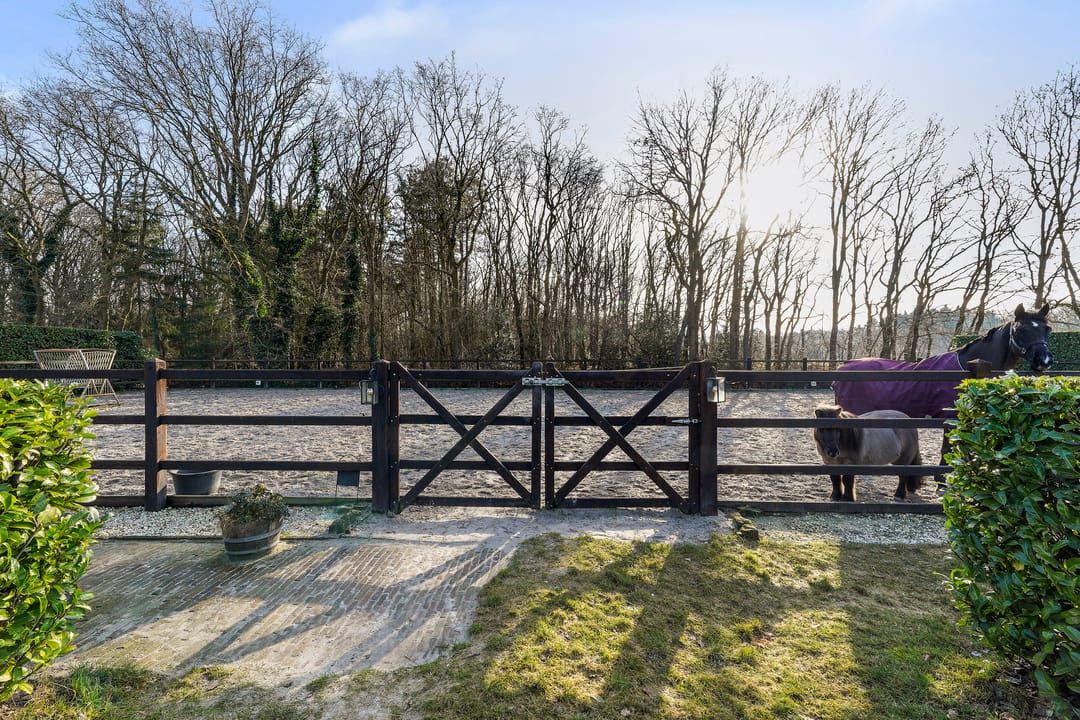 Photo 47 of Kraanven 20