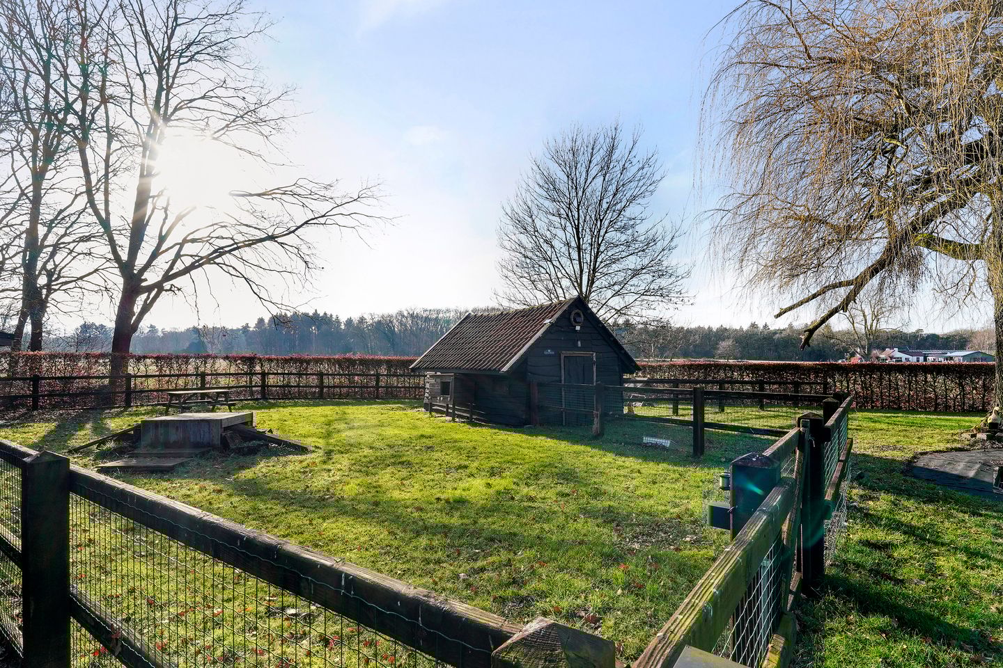 Photo 50 of Kraanven 20