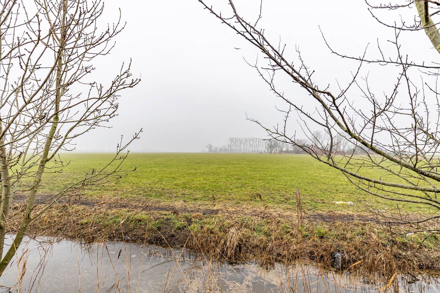 Foto 10 van Friesestraatweg 275