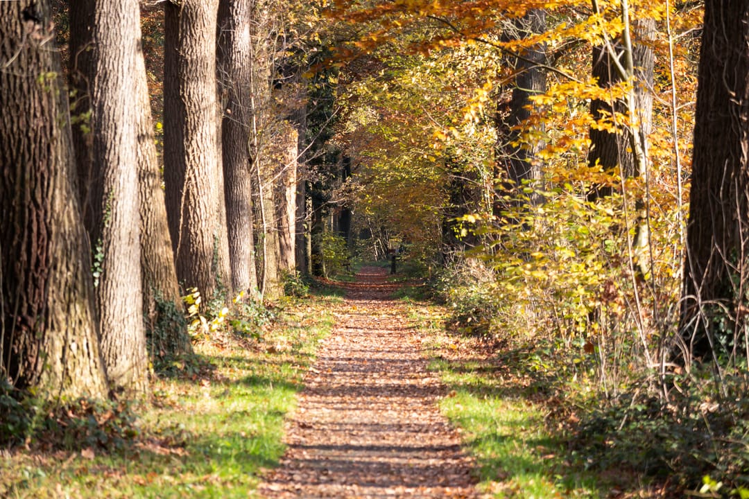Foto 23 van Geersbroekseweg 3-A7