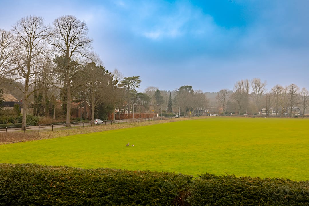 Photo 32 of Brederodelaan 100