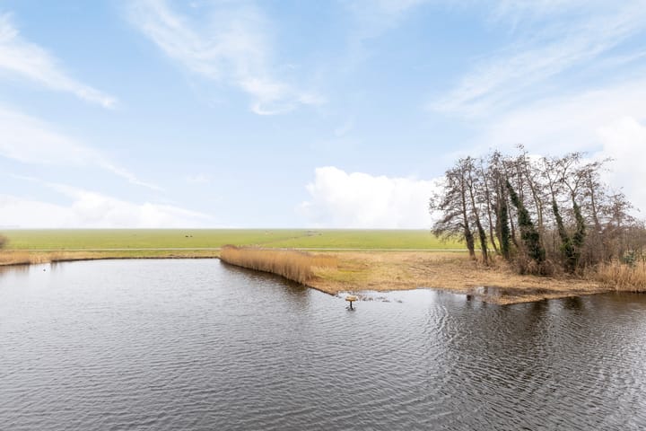 Foto 30 van Oosterweide 79