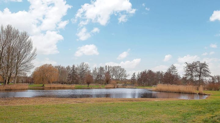 Foto 49 van Oosterweide 79