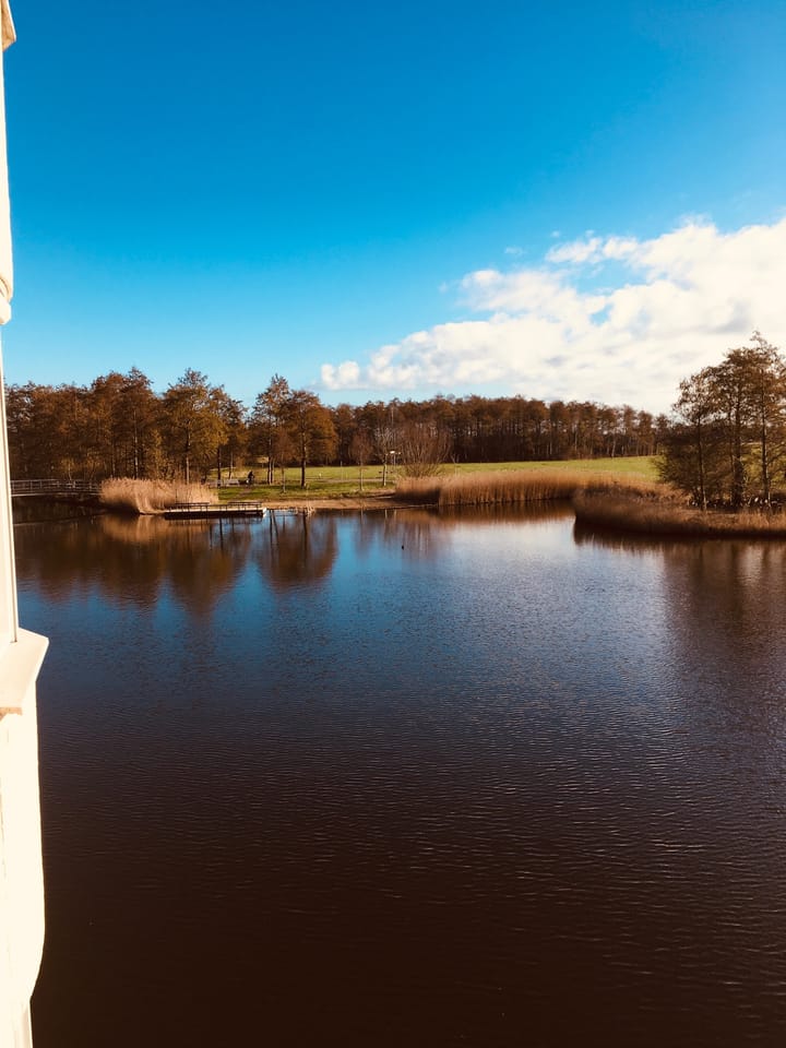 Foto 54 van Oosterweide 79