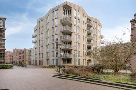 undefined main image