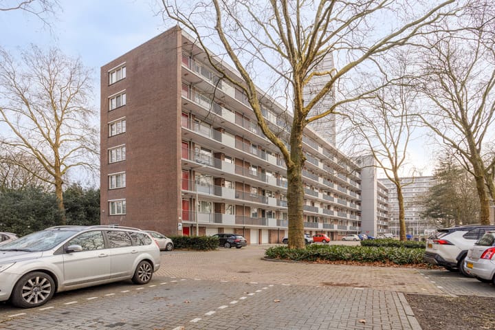 Cederstraat 81 main image