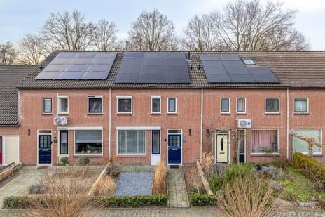 undefined main image