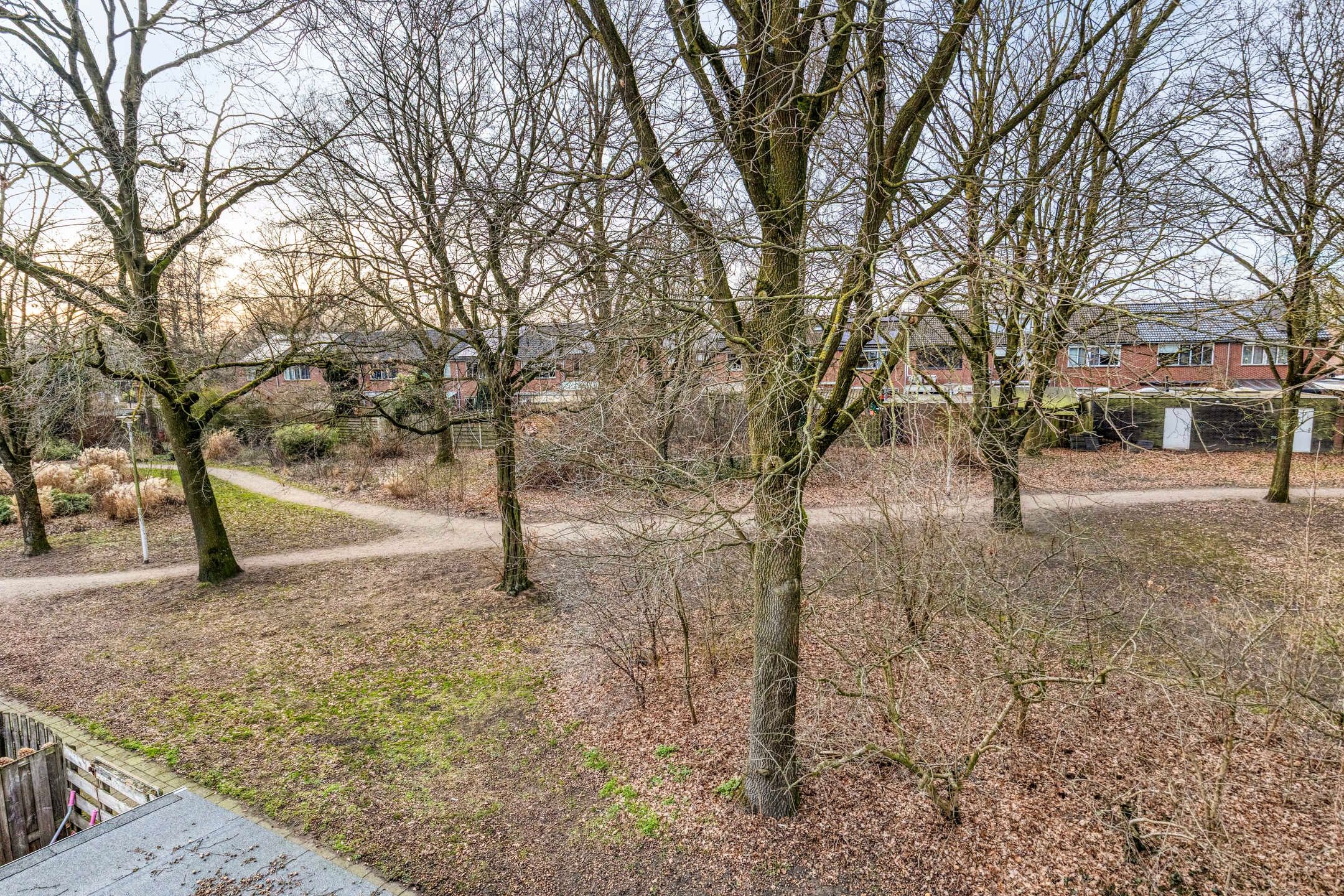 Foto 36 van Pluto 29