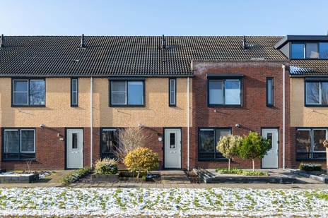 undefined main image