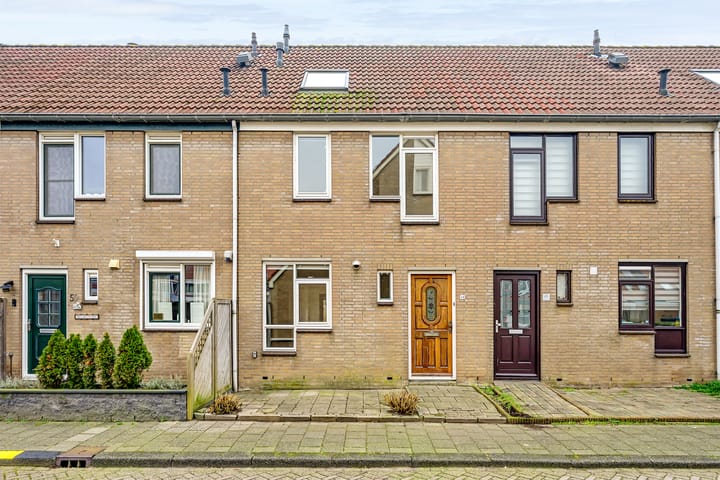 Vlotgras 48 main image