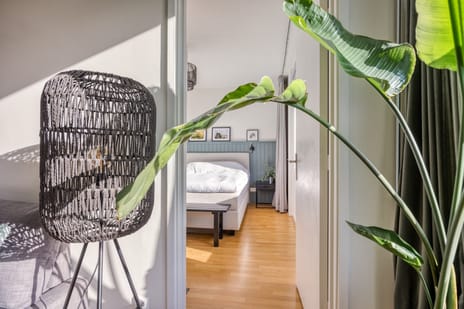 van Leeuwenstraat 51 tertiary image