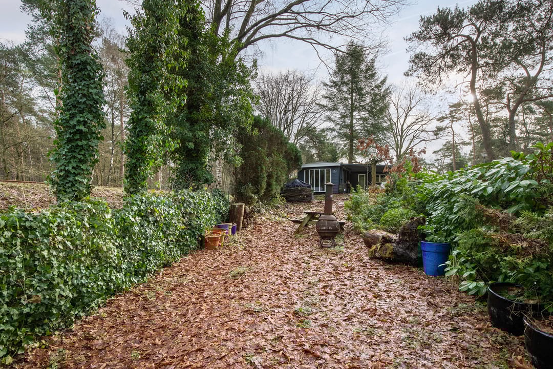 Foto 1 van Lage Bergweg 31-D17