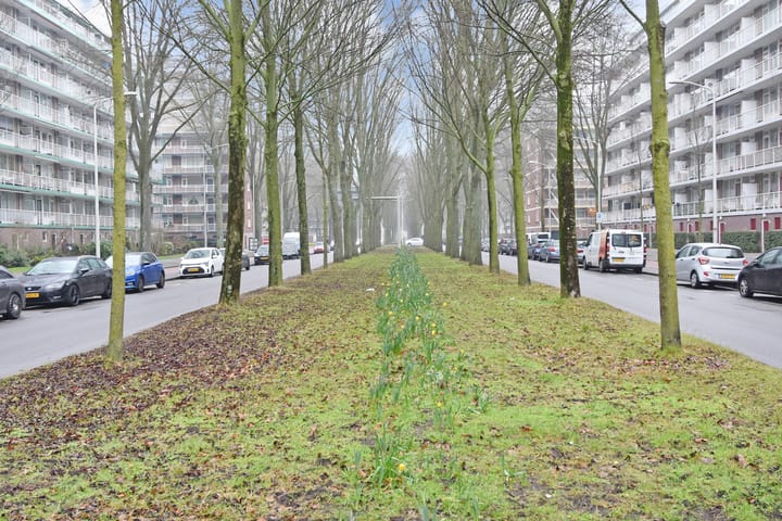 Photo 3 of Volendamlaan 1048