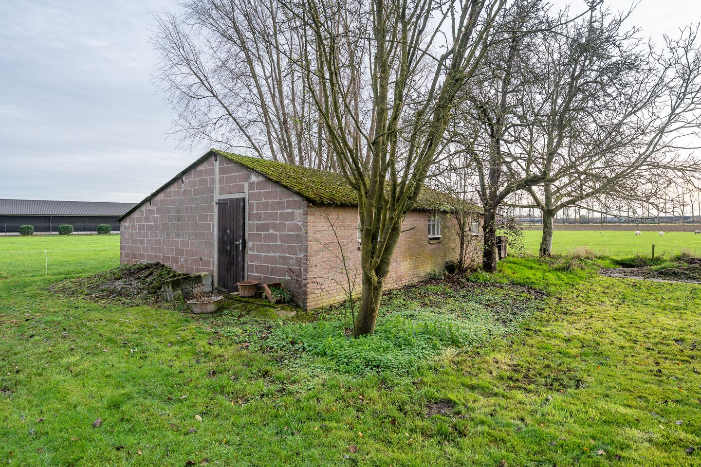 Foto 40 van Beemdkant 4