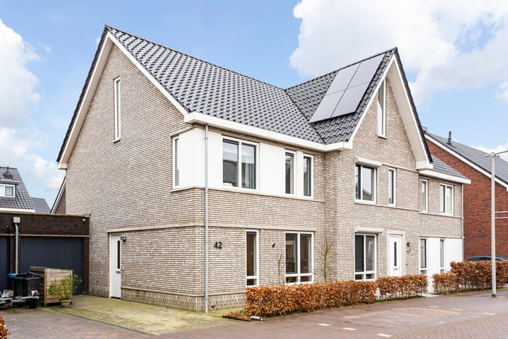 Lenteregen 42 main image