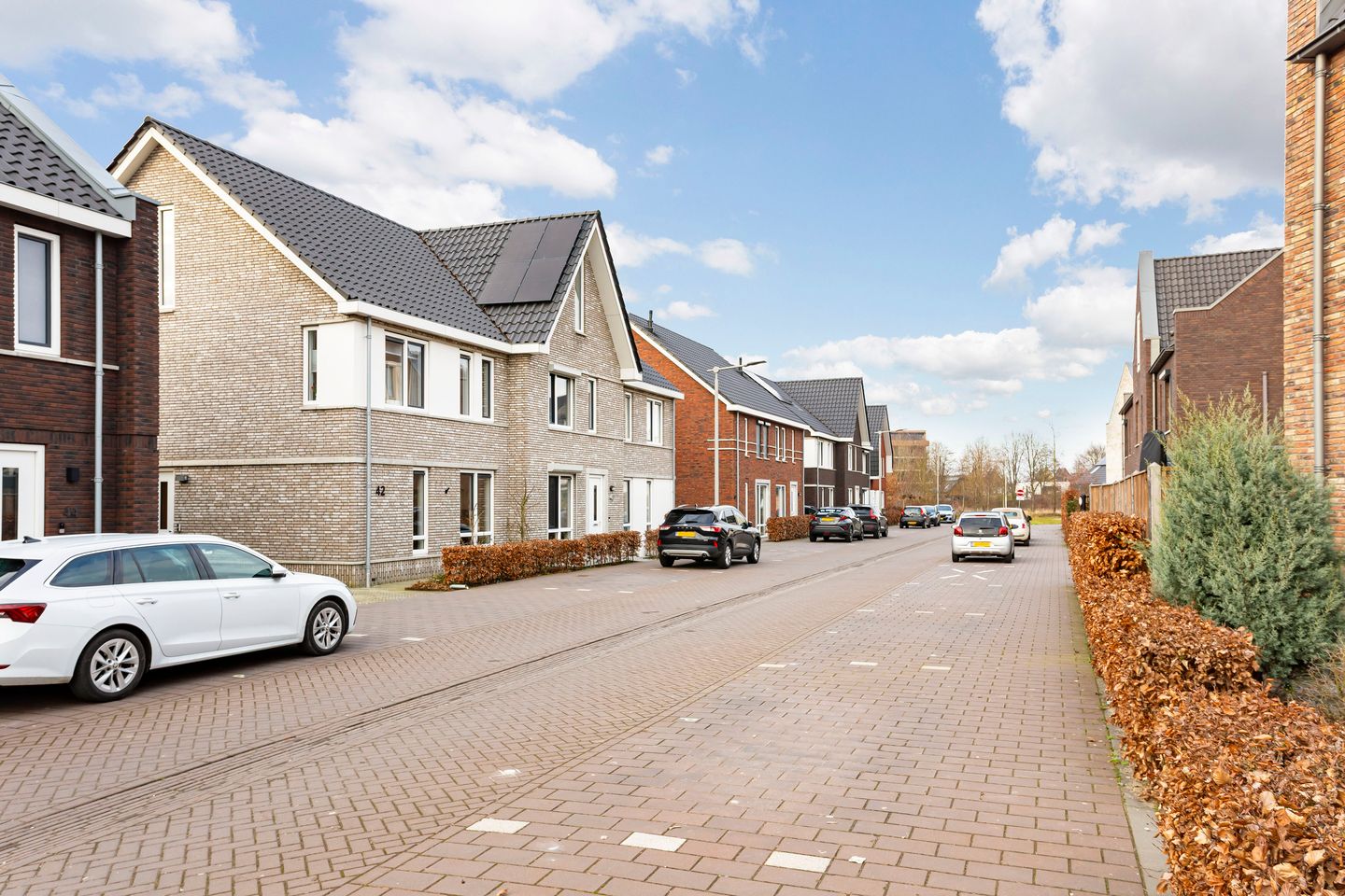 Photo 40 of Lenteregen 42