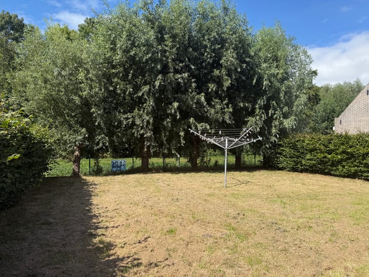 Foto 3 van Bargereed 48