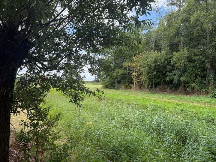 Foto 4 van Bargereed 48