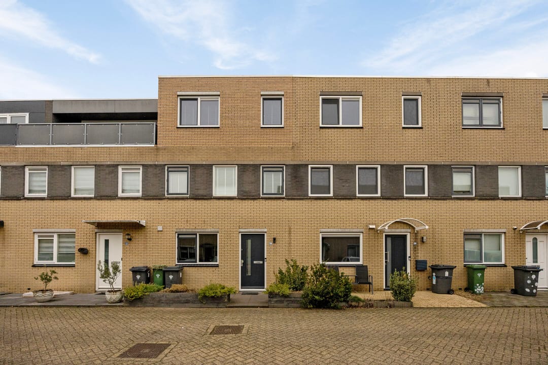 Photo 1 of Pruisisch blauw 34