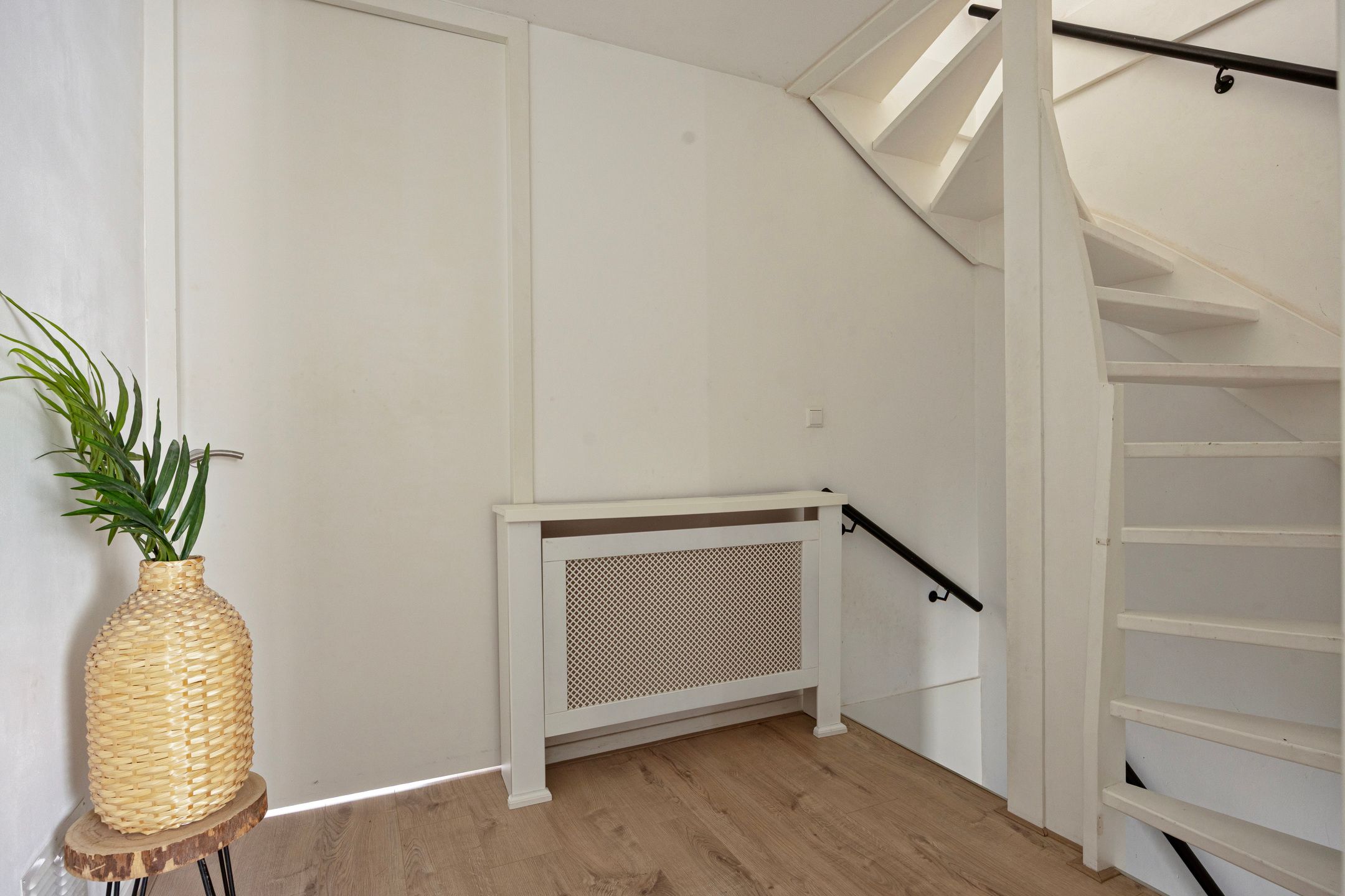 Photo 21 of Pruisisch blauw 34