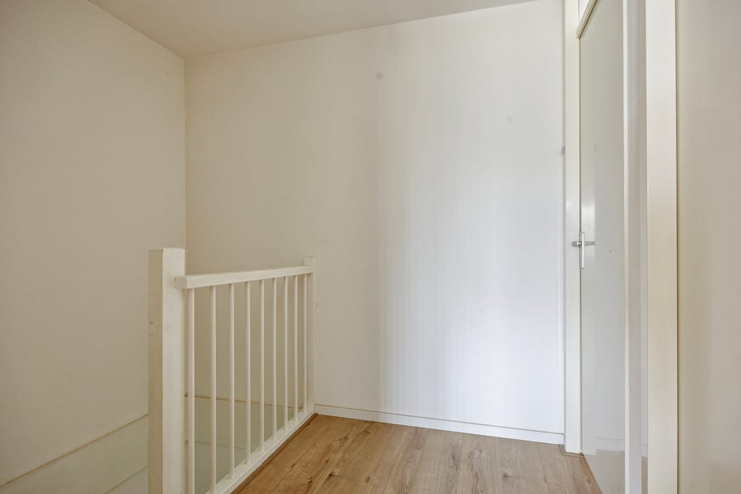 Photo 32 of Pruisisch blauw 34