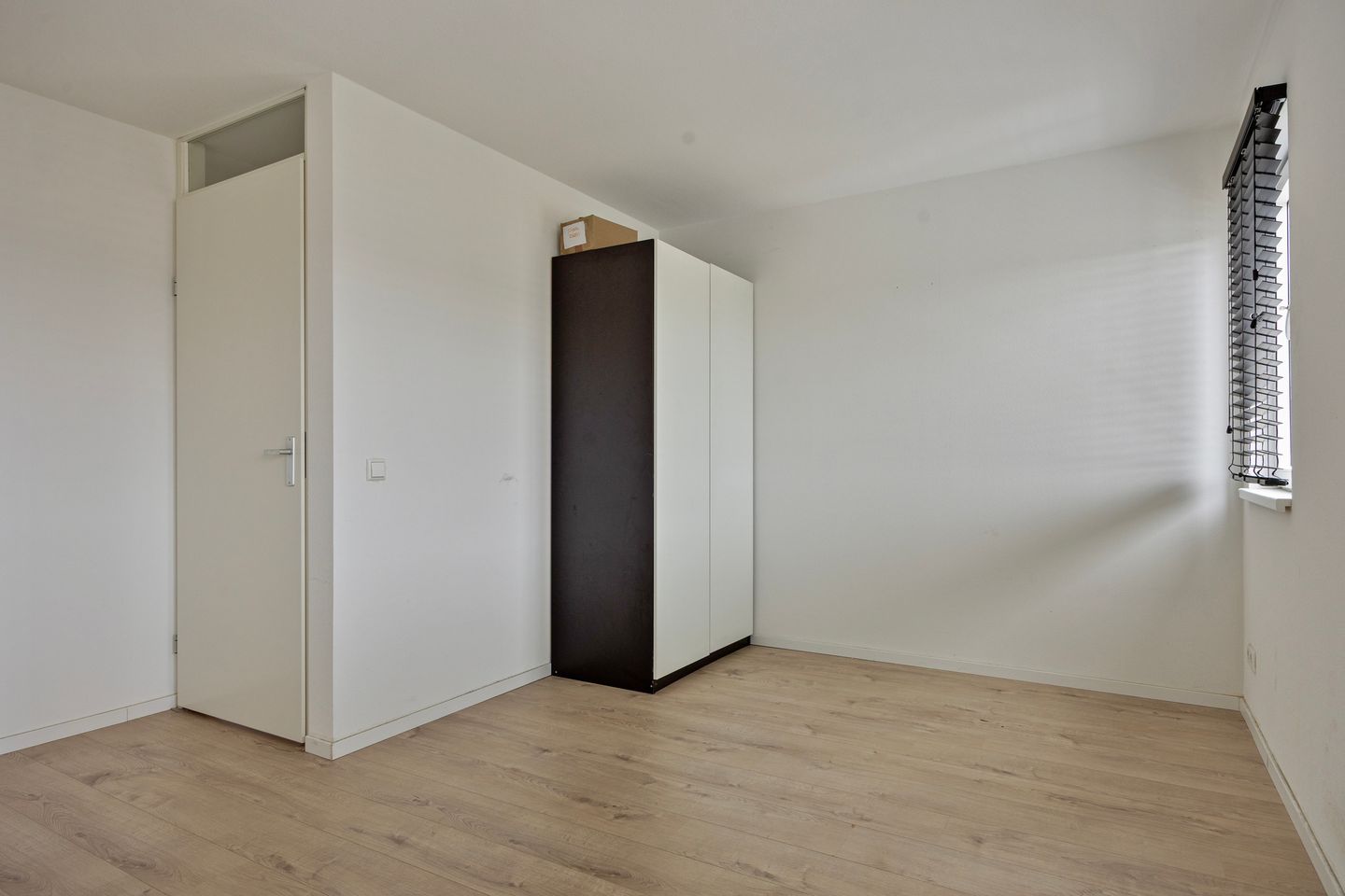 Photo 35 of Pruisisch blauw 34